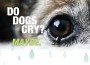 F Do Dogs Cry