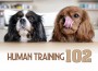 F Human Training 102