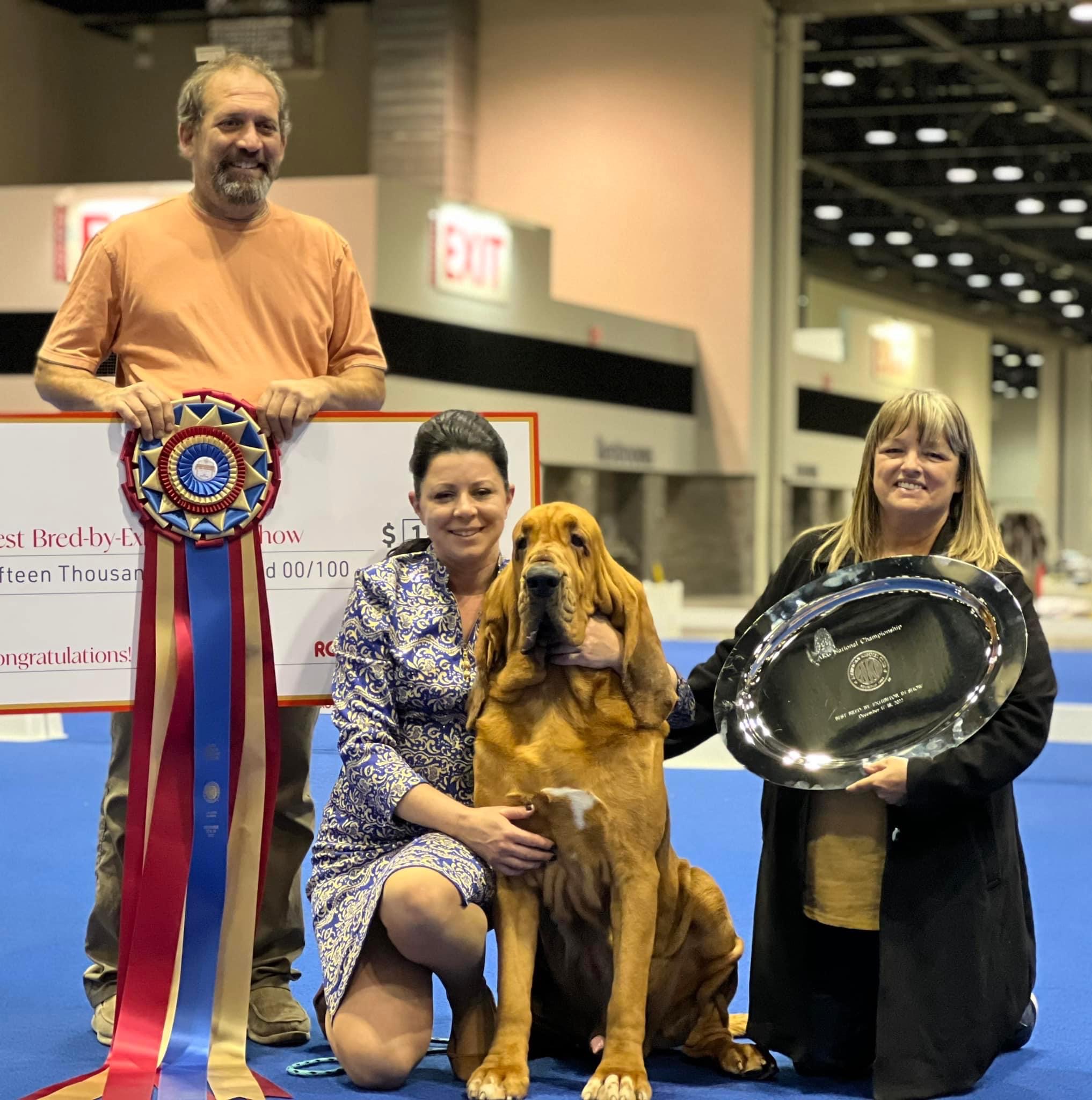 AKC National Championship Best Bred By Exhibitor Results Sunday