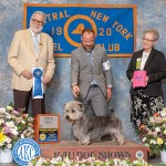 GCHG Abberann Sweet Home Chicago