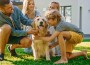 Smiling,Beautiful,Family,Of,Four,Posing,With,Happy,Golden,Retriever