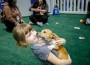 North American Veterinary Community--A child holds a puppy at the Puppy Playground during VMX 2023