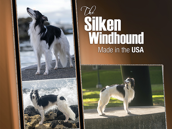 are silken windhounds easy pets