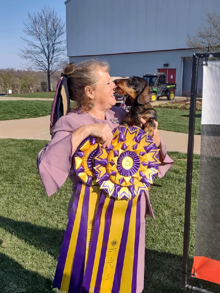 Dachshund Club Of America National Saturday, March 25, 2023 Canine