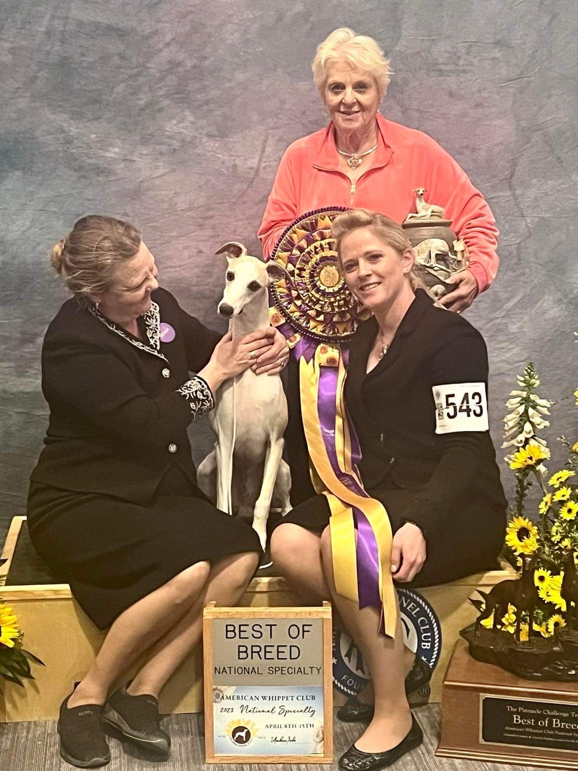 American Whippet Club National Saturday, April 15, 2023 Canine
