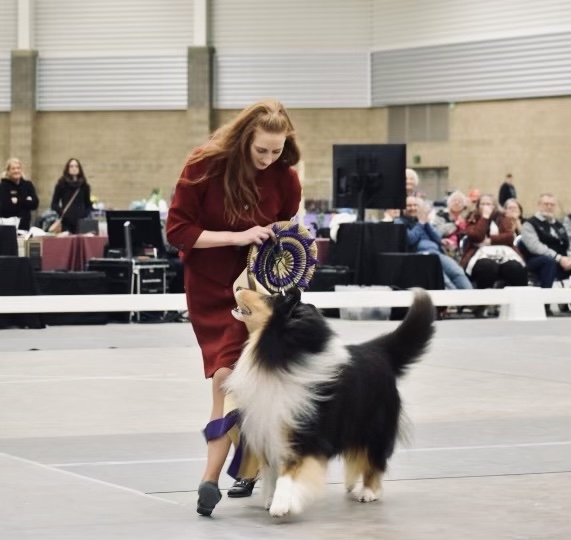 Collie Club of America National Saturday, April 1, 2023 Canine