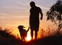 Young,Man,With,His,Yellow,Labrador,Retriever,In,Nature,-
