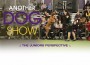 F Another Dog Show