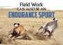 F Field Work Endurance