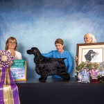 GCHB. Majestic Sweet Apple Standing Outside The Fire