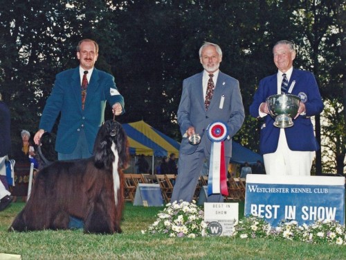 Exciting Moments at the Ocala Dog Show 2022