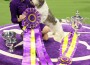 147th Annual Westminster Kennel Club Dog Show Presented by Purina Pro Plan