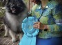 Sherwoods Singing In The Rain At Keeshond Heaven