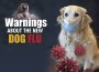 F Warnings Dog Flu F Warnings Dog Flu