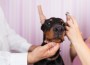 Young,Purebred,Doberman,Puppy,Getting,Veterinary,Treatment,Because,Of,Cropped
