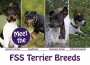 F FSS Terrier Breeds