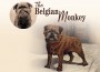 F The Belgian Monkey F The Belgian Monkey