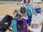 Sherwood's Singing In The Rain At Keeshond Heaven