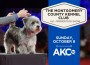 AKC TV Montgomery