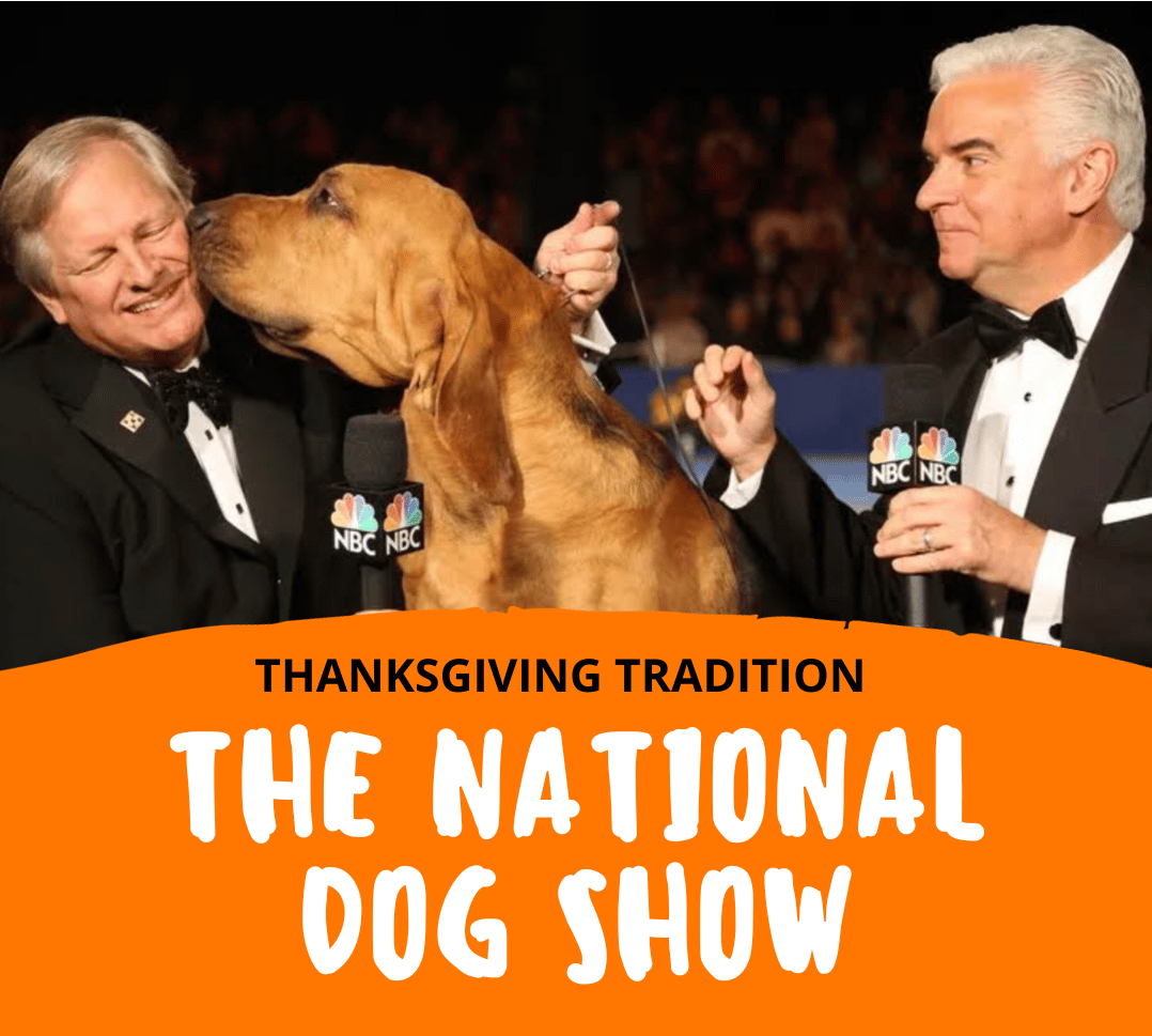 Watch the National Dog Show Presented by Purina Tomorrow! Canine