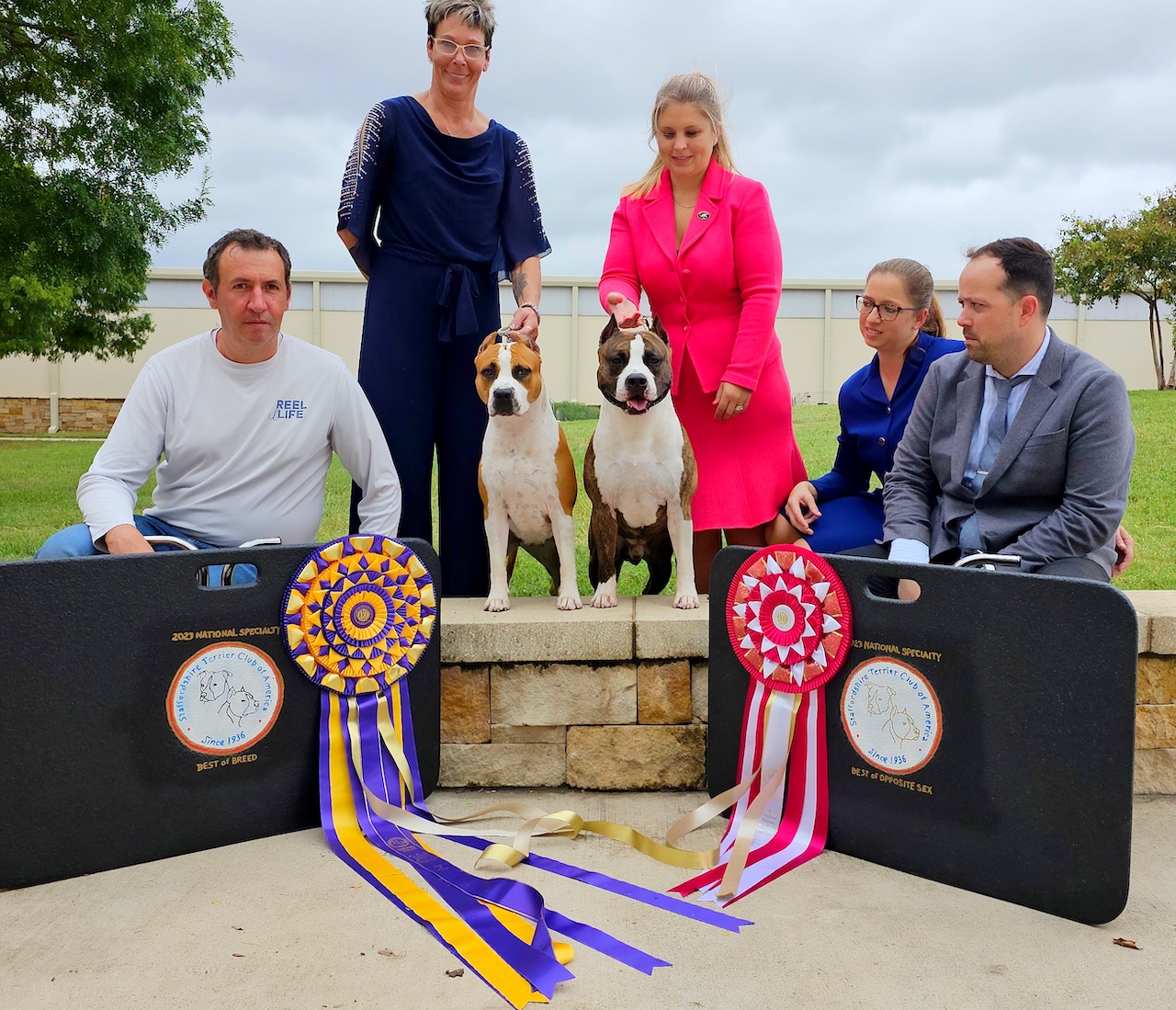 Staffordshire Terrier Club of America National – Tuesday, October 24 ,2023  | Canine Chronicle