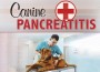 F Canine Pancreatitis