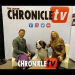 16 Table Talk Live chats with Marty Glover and Monte about their Working Group 4 placement at Brevard Kennel Club