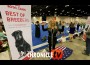 42 Table Talk Live kicking off Day 1 with the Juniors at the 2023 AKC National Championship presented by Royal Canin