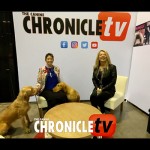 43 Table Talk Live sits down with Melody H Clarke and Béke to chat about their first AKC National Championship experience