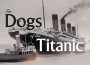 F Dogs of the Titanic