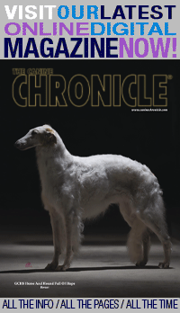 Canine Chronicle Event Calendar