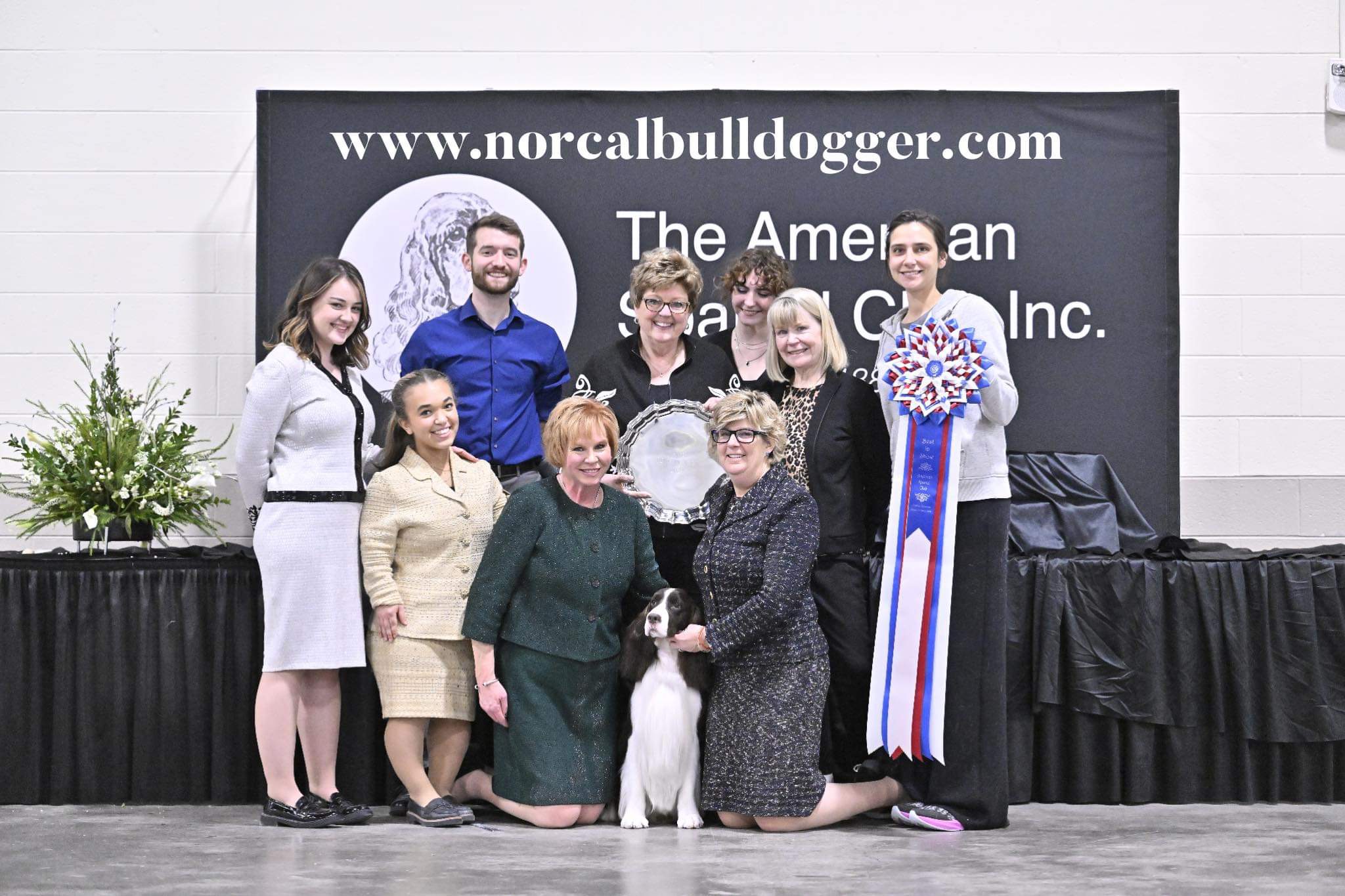 The American Spaniel Club Sunday, January 14, 2024 Canine Chronicle