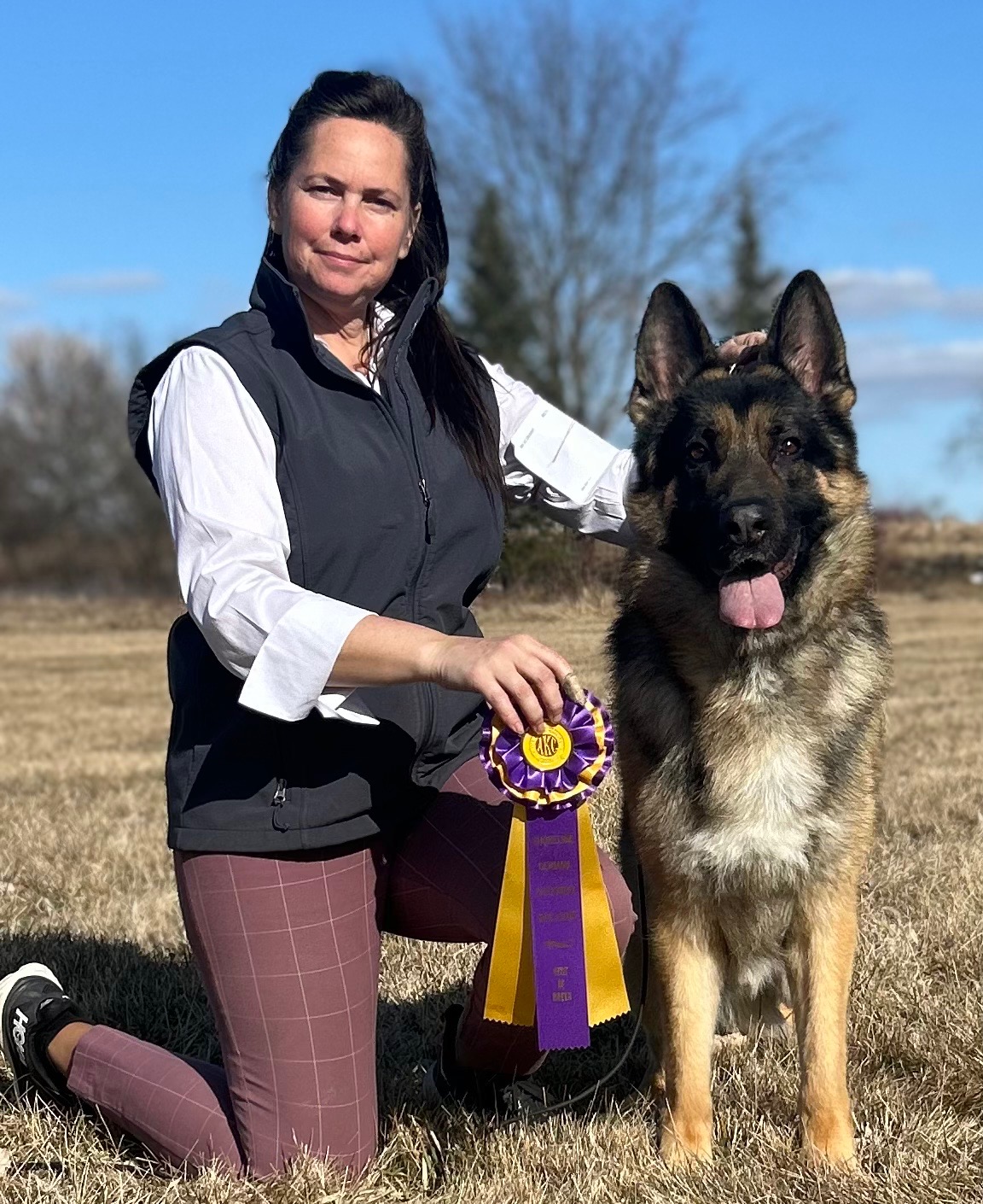 German Shepherd in 2025 National Dog Show