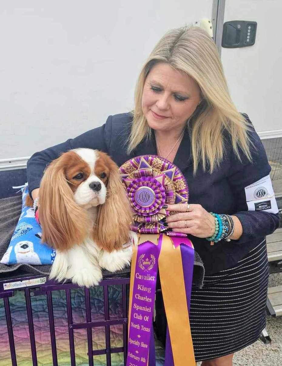 Cavalier King Charles Spaniel Club