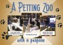 F A Petting Zoo
