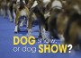 F Dog Show