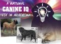 F National Canine IQ