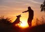 Young,Man,With,His,Yellow,Labrador,Retriever,In,Nature,-