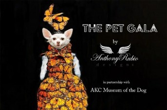 AKC Pet Gala