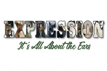 F Expression