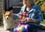 Peri Lane Linincorgi Highway Way Star