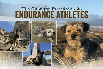 F Endurance Athletes