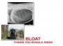 F BLOAT