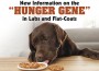 F Info on the Hunger Gene