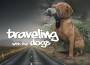 F Traveling with Dogs