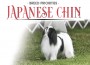 F BP Japanese Chin