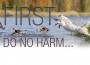 F First Do No Harm