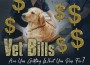 F Vet Bills