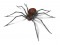 Black-Widow-Spider-Pet Poison Helpline