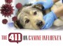 F The 411 on Canine Influenza